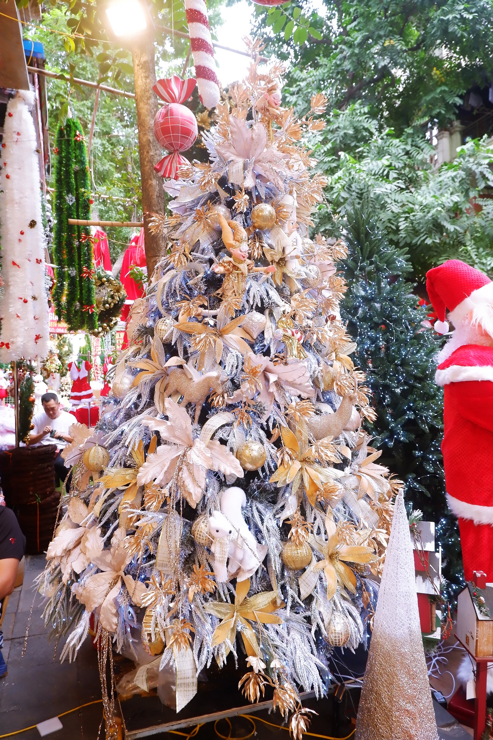 Hà Nội: Thị trường cây thông Noel nhộn nhịp, mức giá từ 10 - 20 triệu hút khách mua - Ảnh 3. Hà Nội: Thị trường cây thông Noel nhộn nhịp, mức giá từ 10 - 20 triệu hút khách mua - Ảnh 3.