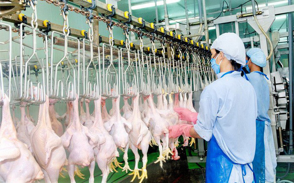 Việt Nam nhập hơn 200.000 tấn thịt gà, kiến nghị hạn chế nhập khẩu gà đông lạnh - Ảnh 1.