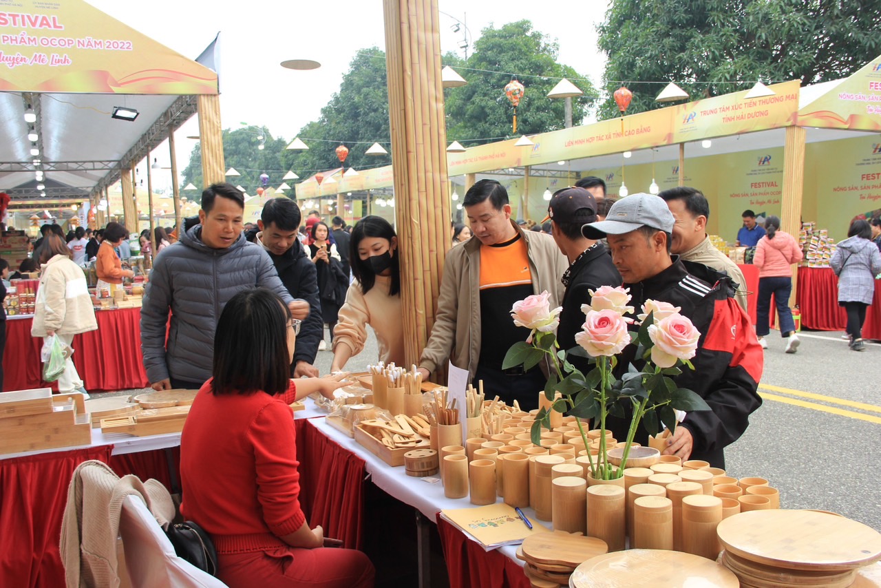Khai mạc Lễ hội hoa và Festival nông sản, sản phẩm OCOP tại huyện Mê Linh - Ảnh 6.