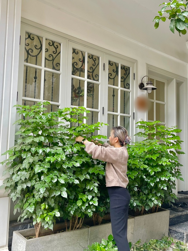 Mua nhà cũ rồi chi 450 triệu để cải tạo: Thuê KTS nhưng không hợp nên tự vẽ lại bản thiết kế - Ảnh 7. Mua nhà cũ rồi chi 450 triệu để cải tạo: Thuê KTS nhưng không hợp nên tự vẽ lại bản thiết kế - Ảnh 7.