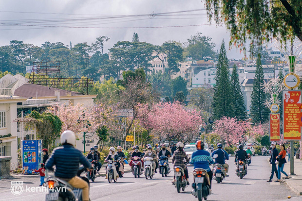 Sau “biển người” du lịch Tết, Đà Lạt trở về với đúng vẻ “nàng thơ”: Thành phố yên bình đến thổn thức! - Ảnh 1.