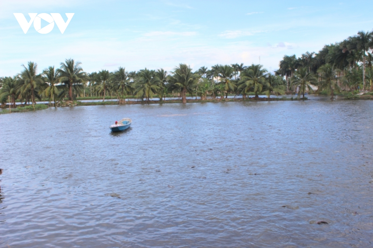 Giá cá tra nguyên liệu ở ĐBSCL mức cao, nhiều hộ nuôi vẫn chưa bán - Ảnh 3. Giá cá tra nguyên liệu ở ĐBSCL mức cao, nhiều hộ nuôi vẫn chưa bán - Ảnh 3.