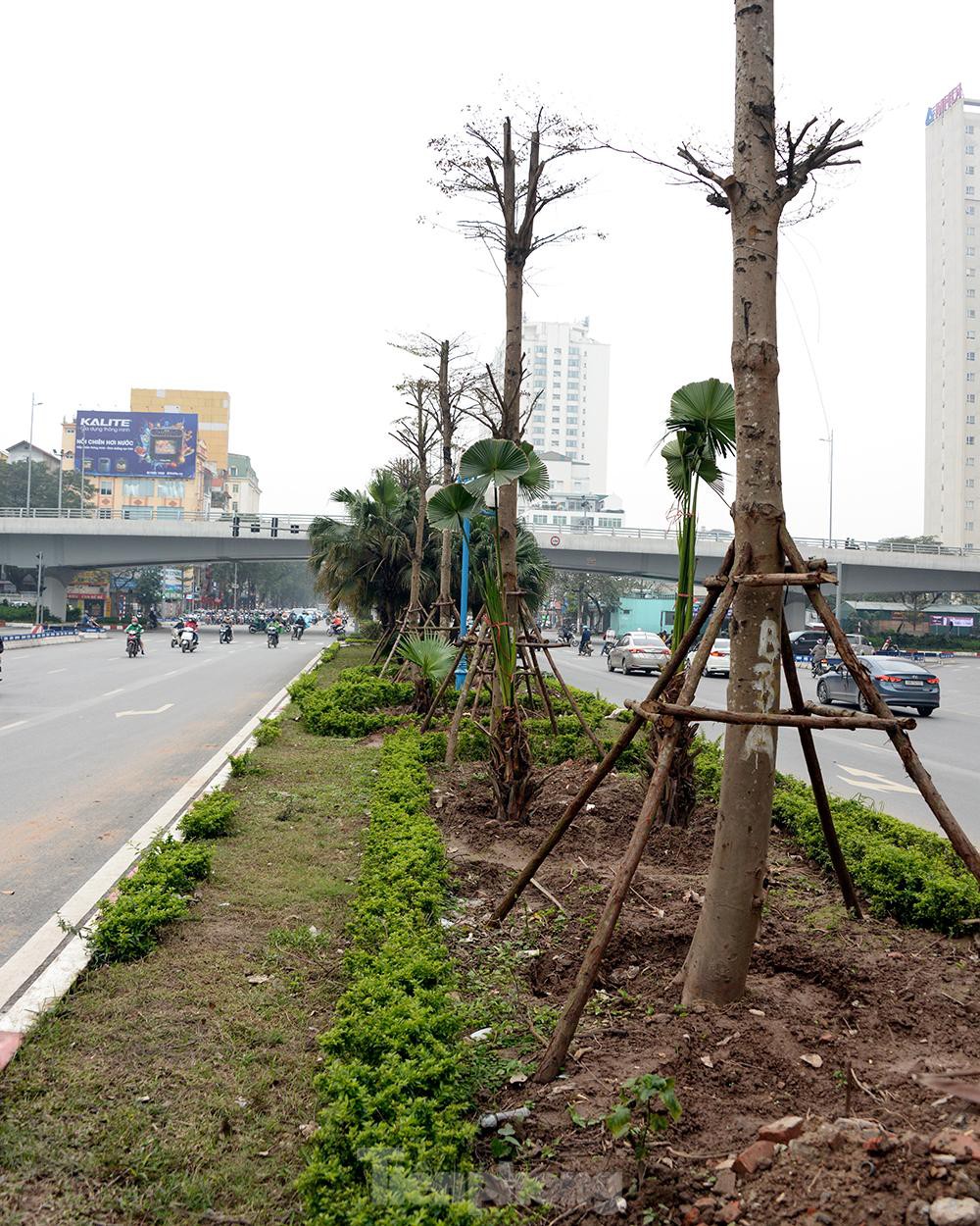 Hình ảnh thi công mở rộng đường Hoàng Quốc Việt sau khi xén dải phân cách và hạ cây xanh - Ảnh 13.
