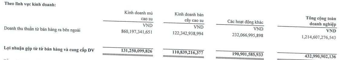 Cao su Đồng Phú (DPR) báo lãi sau thuế cả năm đạt 491 tỷ đồng, tăng 132% so với cùng kỳ - Ảnh 2. Cao su Đồng Phú (DPR) báo lãi sau thuế cả năm đạt 491 tỷ đồng, tăng 132% so với cùng kỳ - Ảnh 2.