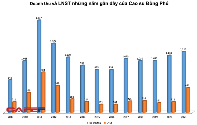 Cao su Đồng Phú (DPR) báo lãi sau thuế cả năm đạt 491 tỷ đồng, tăng 132% so với cùng kỳ - Ảnh 3.