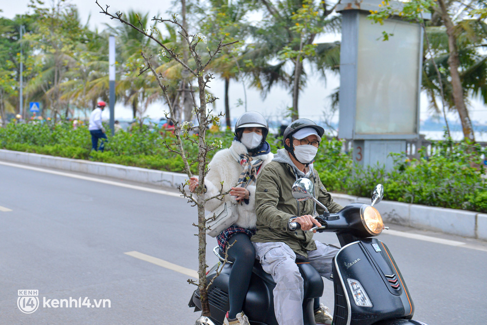  Ảnh: Sau Tết, hoa lê rừng bán tràn lan ngoài phố, người dân Hà Nội ùn ùn đến mua - Ảnh 12.