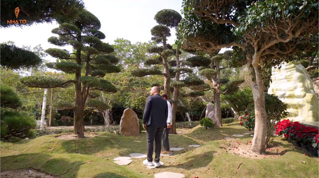Bí mật đằng sau vườn Nhật bạc tỷ của sếp FPT: Sưu tầm thông lá đỏ, tùng la hán vài trăm tuổi không chỉ để thoả mãn đam mê! - Ảnh 1.