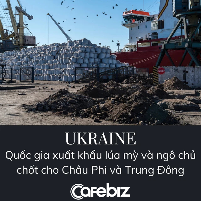 Vì sao xung đột Nga - Ukraine khiến cả thế giới bận tâm: Nước được mệnh danh là ổ bánh mỳ của châu Âu, nước là trạm dầu mỏ khổng lồ - Ảnh 1.