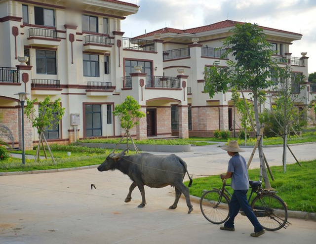 Góc vinh quy bái tổ: Dân làng quyên tiền giúp chàng trai nghèo vào đại học, khi cậu thành tỷ phú bèn xây 250 biệt thự nguy nga tri ân cả làng - Ảnh 5.