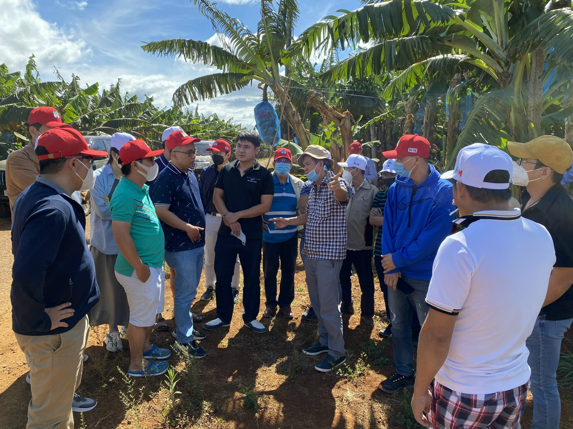 26 cổ đông và nhà đầu tư HAGL vừa tham quan thực tế dự án chuối và heo của bầu Đức tại Gia Lai - Ảnh 3. 26 cổ đông và nhà đầu tư HAGL vừa tham quan thực tế dự án chuối và heo của bầu Đức tại Gia Lai - Ảnh 3.