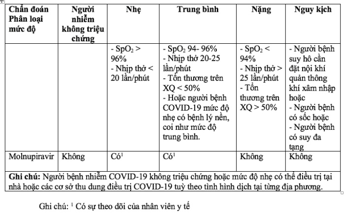 Bộ Y tế bổ sung hướng dẫn sử dụng thuốc Molnupiravir và Remdesivir trong điều trị COVID-19 - Ảnh 1.