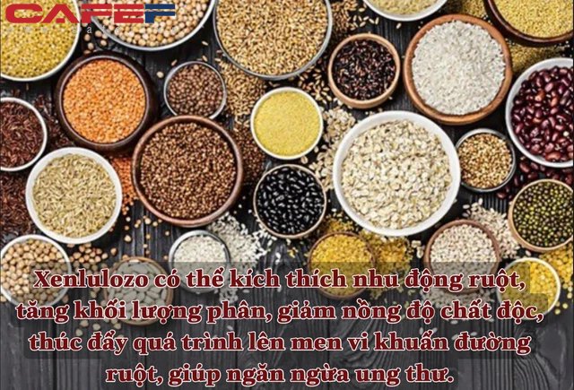 3 biểu hiện khi NGỦ tưởng bình thường nhưng cảnh báo ung thư trú ngụ trong cơ thể: Có 3/3 thì phải đi khám ngay mới thoát khỏi lưỡi hái tử thần - Ảnh 4.