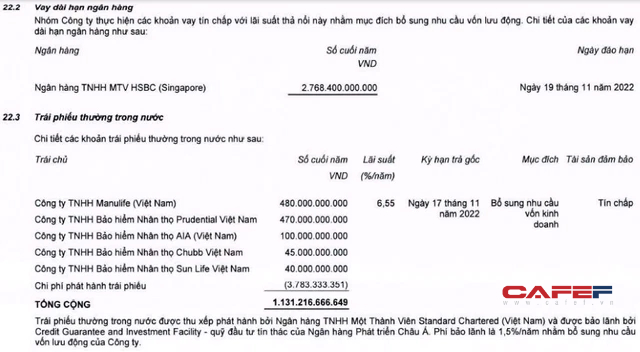 Hoạt động tài chính sôi nổi, dư nợ của Thế giới Di động (MWG) vượt mốc 1 tỷ USD trong năm 2021 - Ảnh 5.