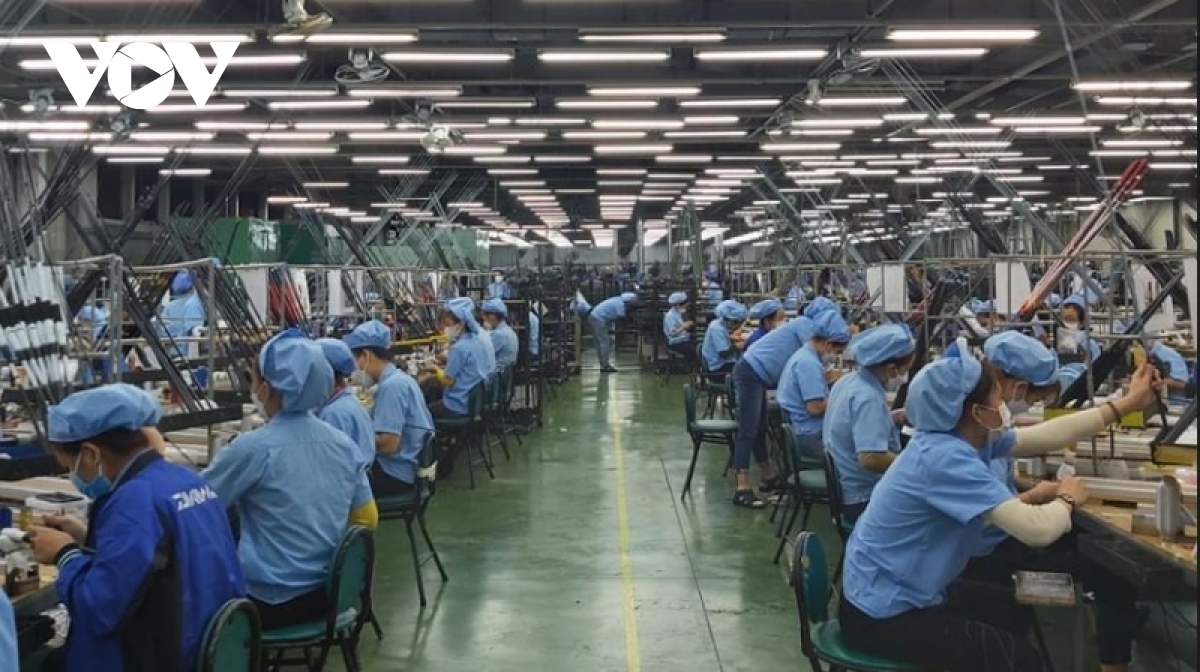 Hơn 96% lao động ở Đà Nẵng đã trở lại làm việc sau hơn một tuần nghỉ Tết - Ảnh 3.