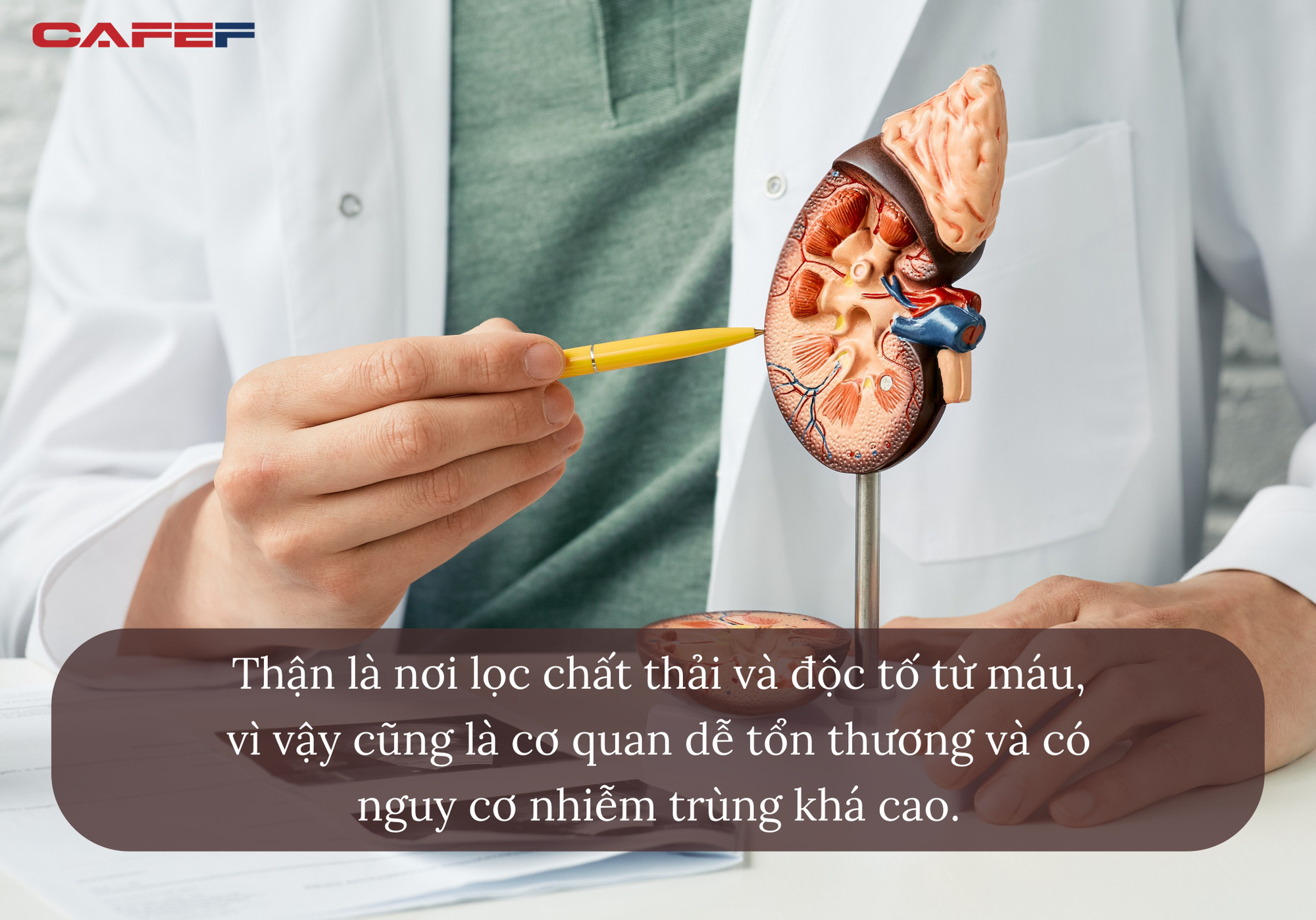 Đau lưng lâu ngày, đừng nghĩ cơ thể lão hóa, có thể bộ phận tựa “sinh lực phái mạnh” đang yếu đi mỗi ngày - Ảnh 1.