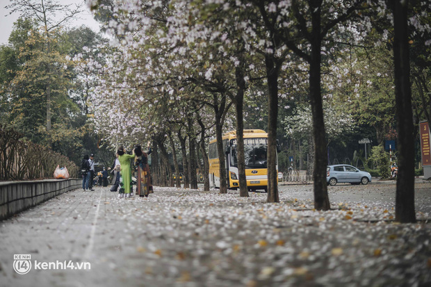 Hà Nội ngày mưa rơi cũng không ngăn nổi tinh thần dân chơi: Người người thi nhau lên đồ đi chụp mùa hoa ban tím mới - Ảnh 7.