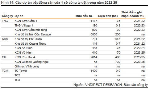 VNDirect: Nhiều công ty dệt may đang có động lực tăng trưởng lớn từ mảng bất động sản - Ảnh 4.