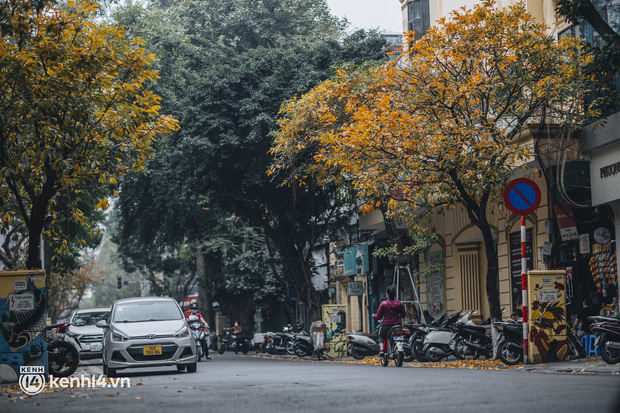 Dân tình “chạy vội” check-in mùa thay lá ở Hà Nội - thủ đô đang vào những ngày đẹp khó thở! - Ảnh 1.
