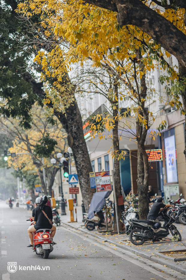 Dân tình “chạy vội” check-in mùa thay lá ở Hà Nội - thủ đô đang vào những ngày đẹp khó thở! - Ảnh 18.