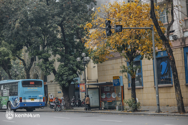 Dân tình “chạy vội” check-in mùa thay lá ở Hà Nội - thủ đô đang vào những ngày đẹp khó thở! - Ảnh 4.