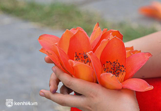  Ảnh: Tháng 3, ngắm hoa gạo nở đỏ rực bên trong ngôi chùa nghìn năm tuổi ở Hà Nội - Ảnh 9.