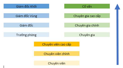 Không phải quản lý, đây mới là vị trí “việc nhẹ lương cao” trong ngân hàng - Ảnh 1.