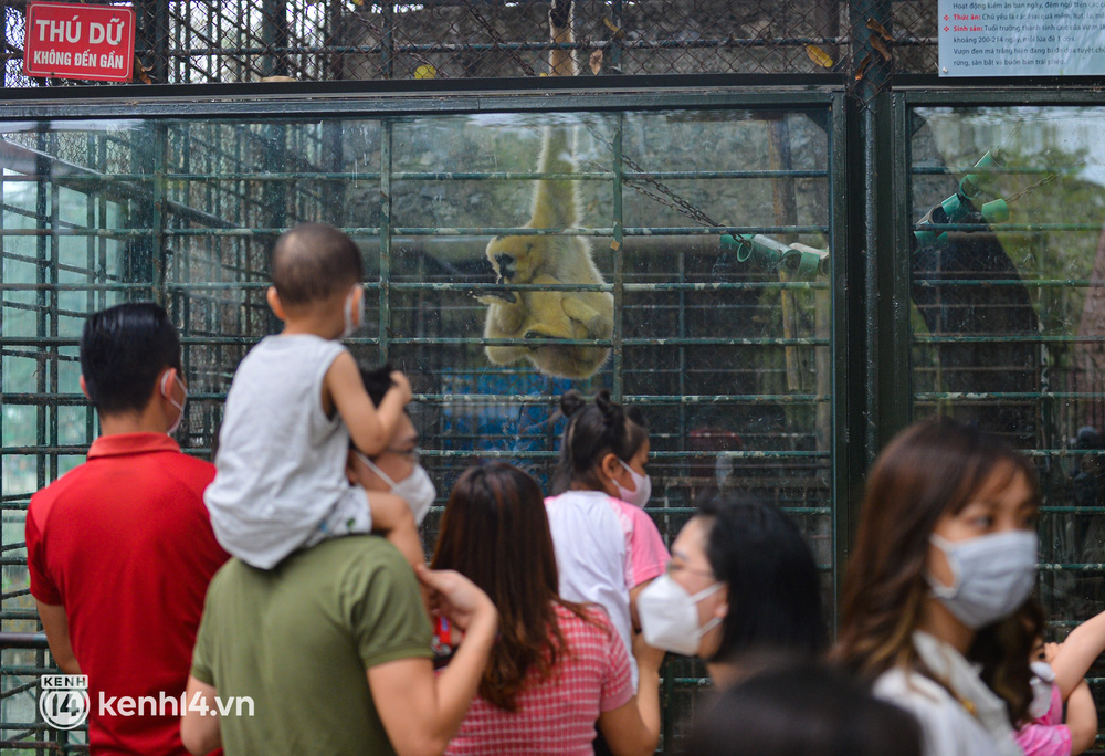  Ảnh: Hàng nghìn người dân đổ về công viên Thủ Lệ vui chơi ngày cuối tuần, trẻ em chen chân cho thú ăn - Ảnh 12.