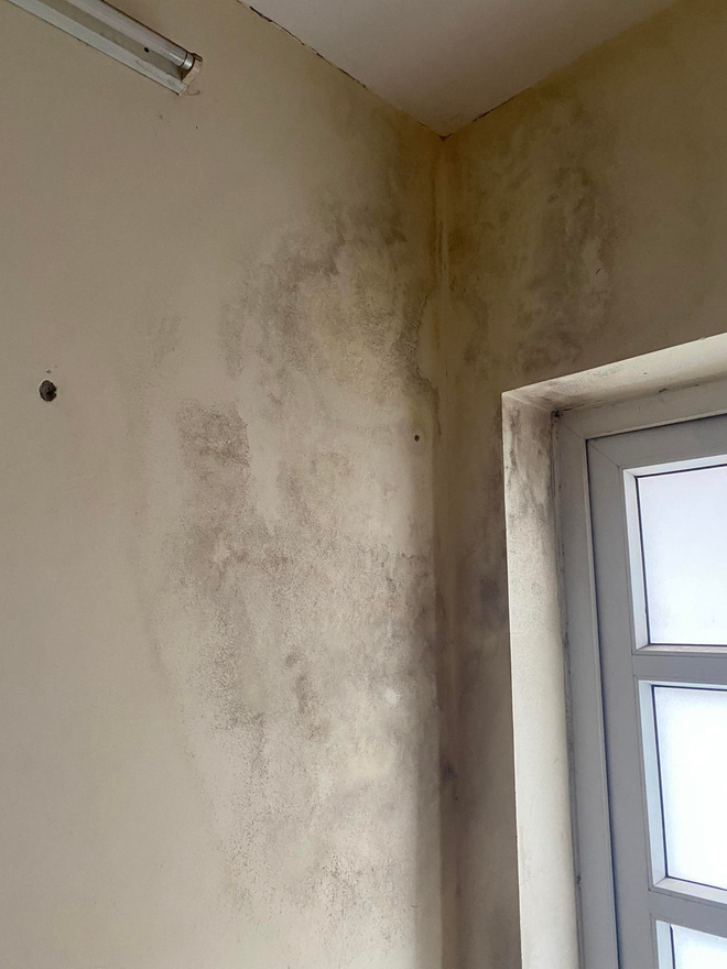 Tường nhà mốc lở, bong tróc, xử lí vô cùng đơn giản như sau! - Ảnh 3. Tường nhà mốc lở, bong tróc, xử lí vô cùng đơn giản như sau! - Ảnh 3.