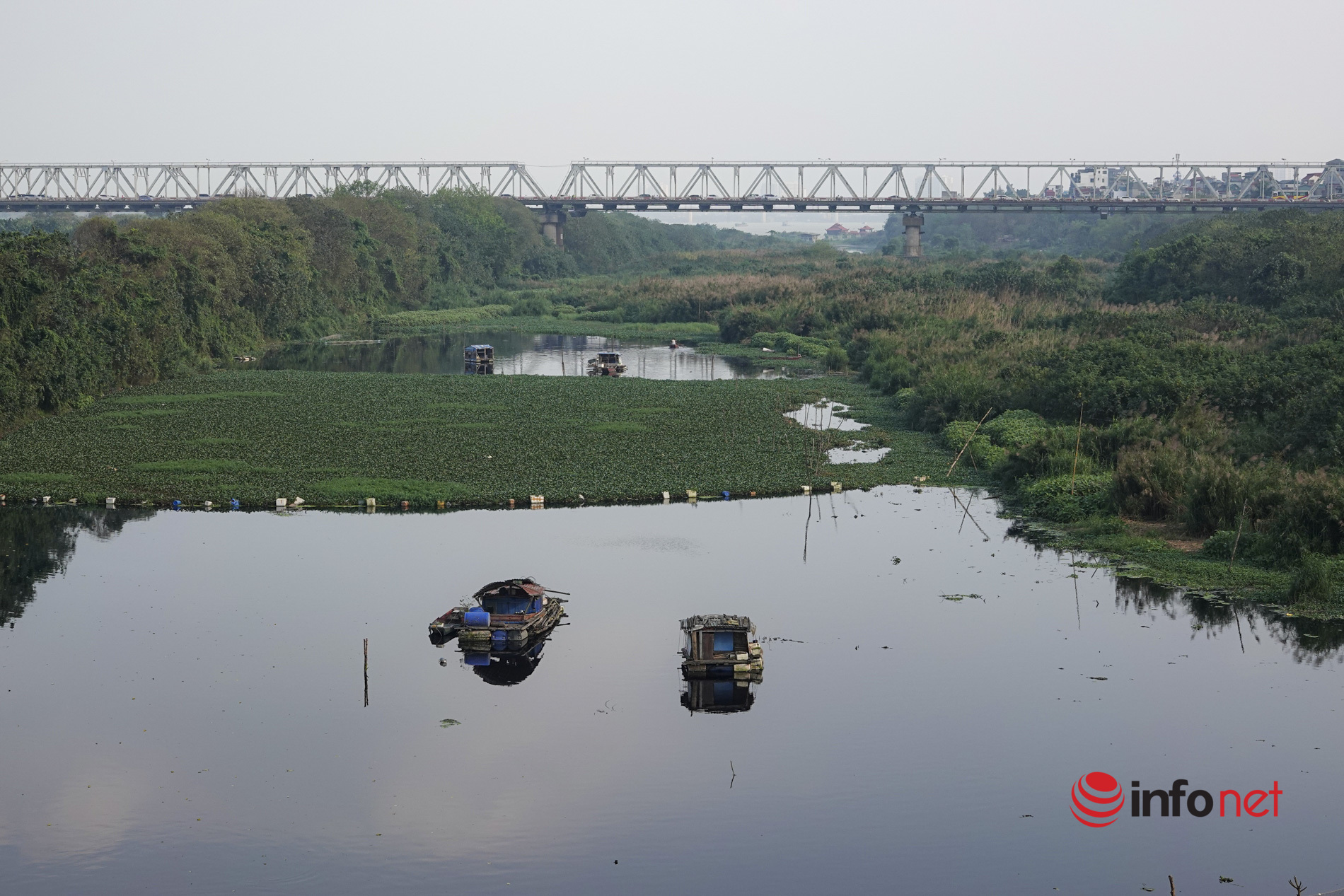 Hà Nội: Toàn cảnh bãi giữa sông Hồng nên thơ được đề xuất cải tạo thành công viên văn hóa - Ảnh 13.