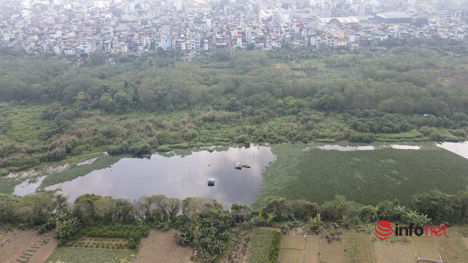 Hà Nội: Toàn cảnh bãi giữa sông Hồng nên thơ được đề xuất cải tạo thành công viên văn hóa - Ảnh 18.
