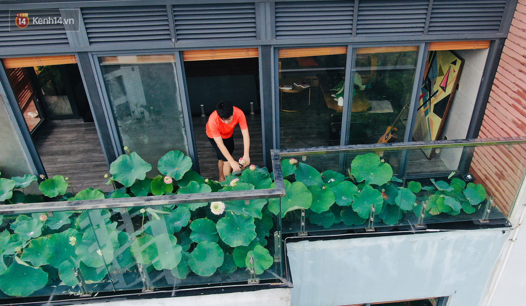 Những căn penthouse đốt tiền: Chủ nhà chịu chơi mang vách đá đen vào giữa phòng khách, cặp vợ chồng Hà Nội có hẳn hồ sen trên tầng 30, đặc biệt nhất căn hộ 200 tỷ đồng như bảo tàng - Ảnh 12. Những căn penthouse đốt tiền: Chủ nhà chịu chơi mang vách đá đen vào giữa phòng khách, cặp vợ chồng Hà Nội có hẳn hồ sen trên tầng 30, đặc biệt nhất căn hộ 200 tỷ đồng như bảo tàng - Ảnh 12.