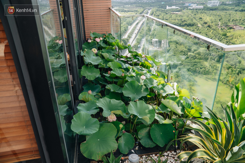 Những căn penthouse đốt tiền: Chủ nhà chịu chơi mang vách đá đen vào giữa phòng khách, cặp vợ chồng Hà Nội có hẳn hồ sen trên tầng 30, đặc biệt nhất căn hộ 200 tỷ đồng như bảo tàng - Ảnh 13. Những căn penthouse đốt tiền: Chủ nhà chịu chơi mang vách đá đen vào giữa phòng khách, cặp vợ chồng Hà Nội có hẳn hồ sen trên tầng 30, đặc biệt nhất căn hộ 200 tỷ đồng như bảo tàng - Ảnh 13.