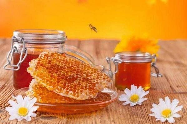 Đều đặn uống mật ong pha với thứ này khi bụng đói vào buổi sáng cơ thể sẽ 7 thay đổi: Vừa sạch ruột, khỏe tim, mà da lại sáng mịn - Ảnh 5.