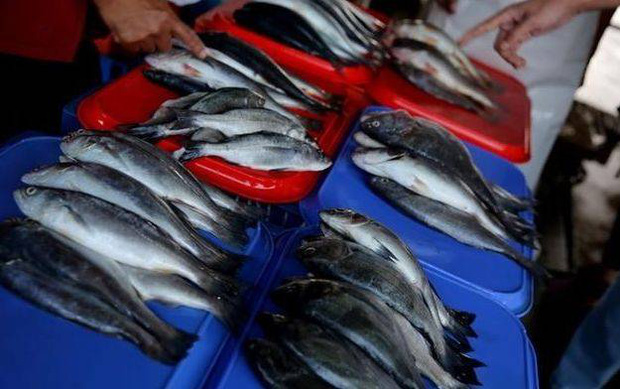  Đi mua cá nên tránh chọn 3 loại này vì dễ chứa nhiều kim loại nặng, ăn vào không tốt lại còn phí tiền - Ảnh 3.