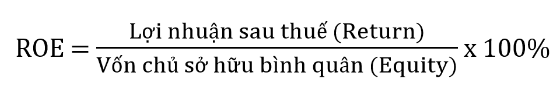 Chỉ số ROE (Return On Equity) là gì? Cách tính và ý nghĩa - Ảnh 1.