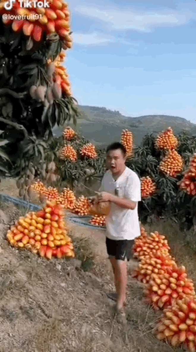 Quảng cáo không hề giả trân như nông dân Trung Quốc: Gắn trái giả lên cây, dàn dựng đồ tươi nhưng thực chất đông lạnh? - Ảnh 2.