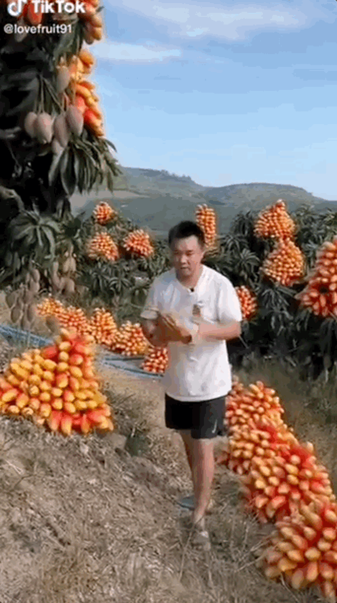 Quảng cáo không hề giả trân như nông dân Trung Quốc: Gắn trái giả lên cây, dàn dựng đồ tươi nhưng thực chất đông lạnh? - Ảnh 3.