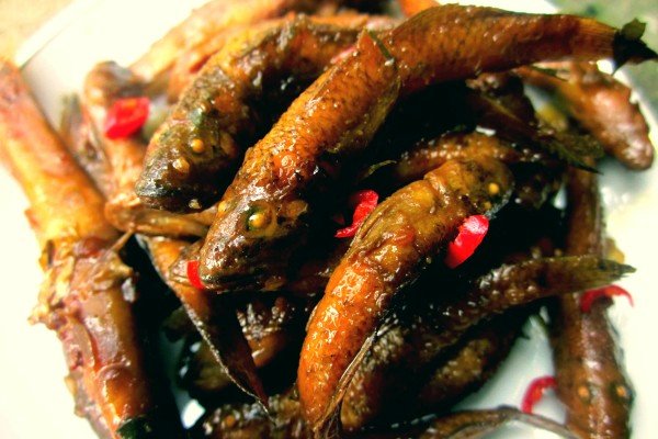 Loại cá có công dụng trị ho đủ kiểu, vừa bồi bổ cơ thể vừa tăng cường collagen nhưng người Việt giờ ít ăn - Ảnh 4.