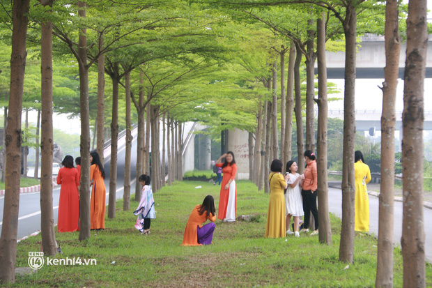 Hà Nội: Bất chấp nguy hiểm, nhiều người ra giữa đường chụp ảnh với hàng cây bàng lá nhỏ - Ảnh 9.