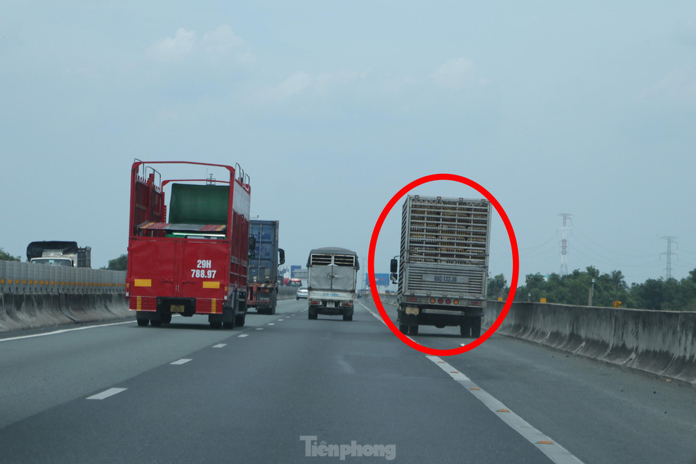 Cận cảnh tuyến cao tốc TPHCM - Trung Lương xuống cấp nghiêm trọng sau 3 năm dừng thu phí - Ảnh 11. Cận cảnh tuyến cao tốc TPHCM - Trung Lương xuống cấp nghiêm trọng sau 3 năm dừng thu phí - Ảnh 11.