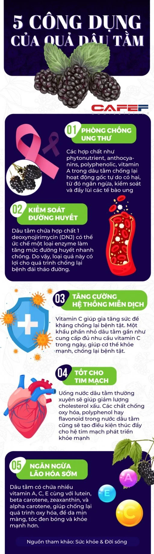 5 công dụng “thần thánh” của loại quả quen thuộc mà giá lại rẻ bèo: Chống ung thư, hạ đường huyết, cực tốt cho tim mạch - Ảnh 1.