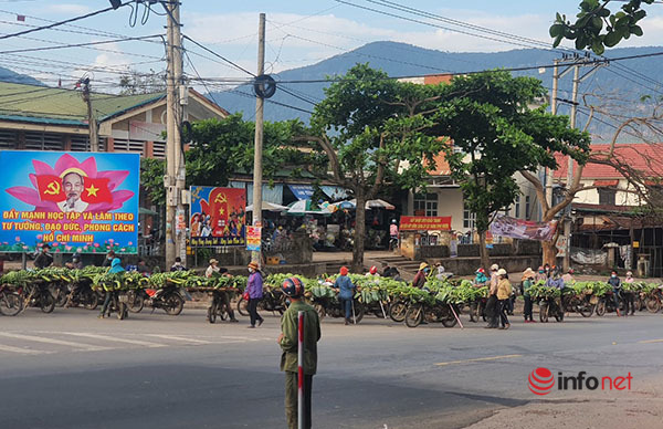 Mục sở thị chợ chuối mật mốc, hàng trăm xe máy họp giữa ngã ba đường ở Quảng Trị - Ảnh 1.