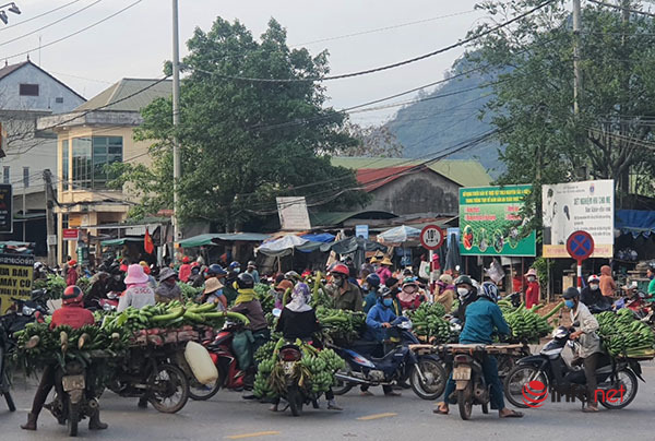 Mục sở thị chợ chuối mật mốc, hàng trăm xe máy họp giữa ngã ba đường ở Quảng Trị - Ảnh 2.