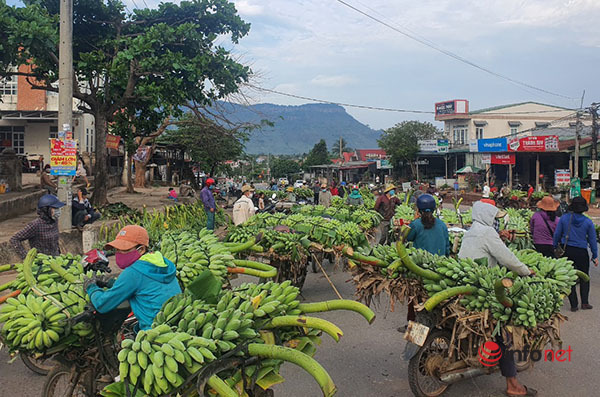 Mục sở thị chợ chuối mật mốc, hàng trăm xe máy họp giữa ngã ba đường ở Quảng Trị - Ảnh 3.