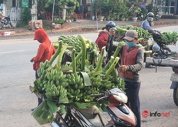 Mục sở thị chợ chuối mật mốc, hàng trăm xe máy họp giữa ngã ba đường ở Quảng Trị - Ảnh 7.