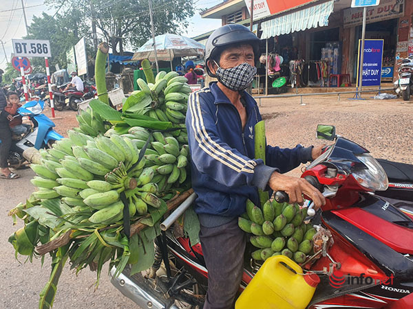 Mục sở thị chợ chuối mật mốc, hàng trăm xe máy họp giữa ngã ba đường ở Quảng Trị - Ảnh 8.