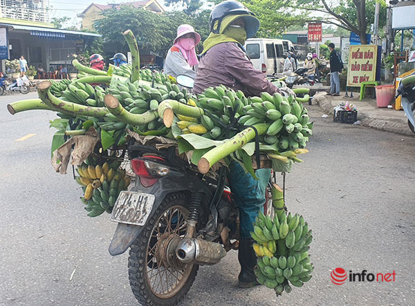 Mục sở thị chợ chuối mật mốc, hàng trăm xe máy họp giữa ngã ba đường ở Quảng Trị - Ảnh 9.