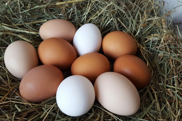 Trứng là ngọc quý rẻ tiền với sức khỏe: Nếu ăn kèm 5 thứ này còn dưỡng nhan và giảm béo nhẹ nhàng, trẻ hay già đều áp dụng được - Ảnh 1.
