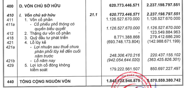 Thuduc House (TDH) bị dừng làm thủ tục hải quan với hàng xuất khẩu nhập khẩu - Ảnh 1.