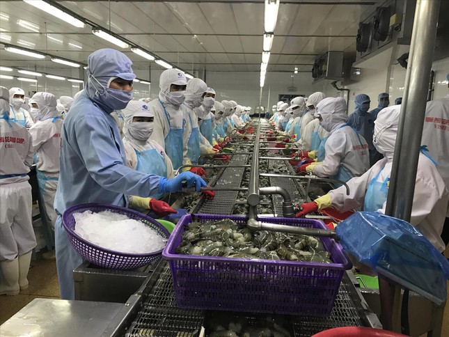 Xuất khẩu tăng kỷ lục, doanh nghiệp đối mặt nhiều nỗi lo - Ảnh 1. Xuất khẩu tăng kỷ lục, doanh nghiệp đối mặt nhiều nỗi lo - Ảnh 1.